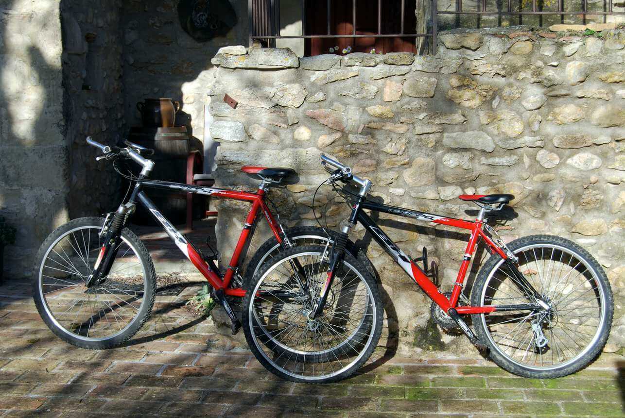 The mountain bikes of the cottage